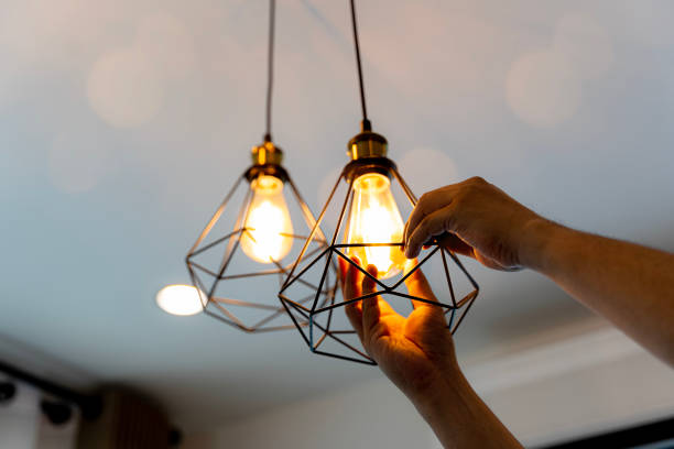 Best Industrial Electrical Services  in Flossmoor, IL